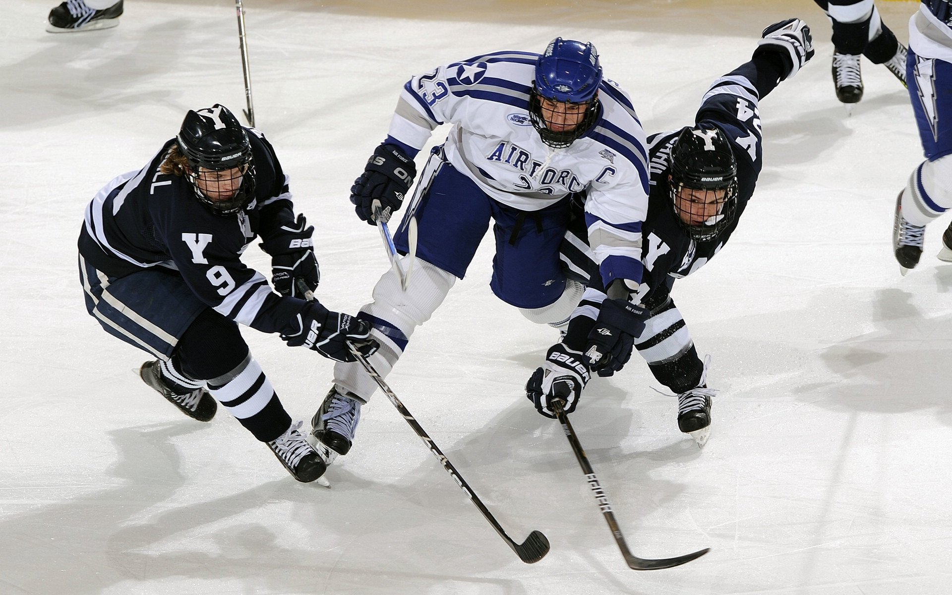 世界射击锦标赛10米气步枪 中国队包揽金银铜