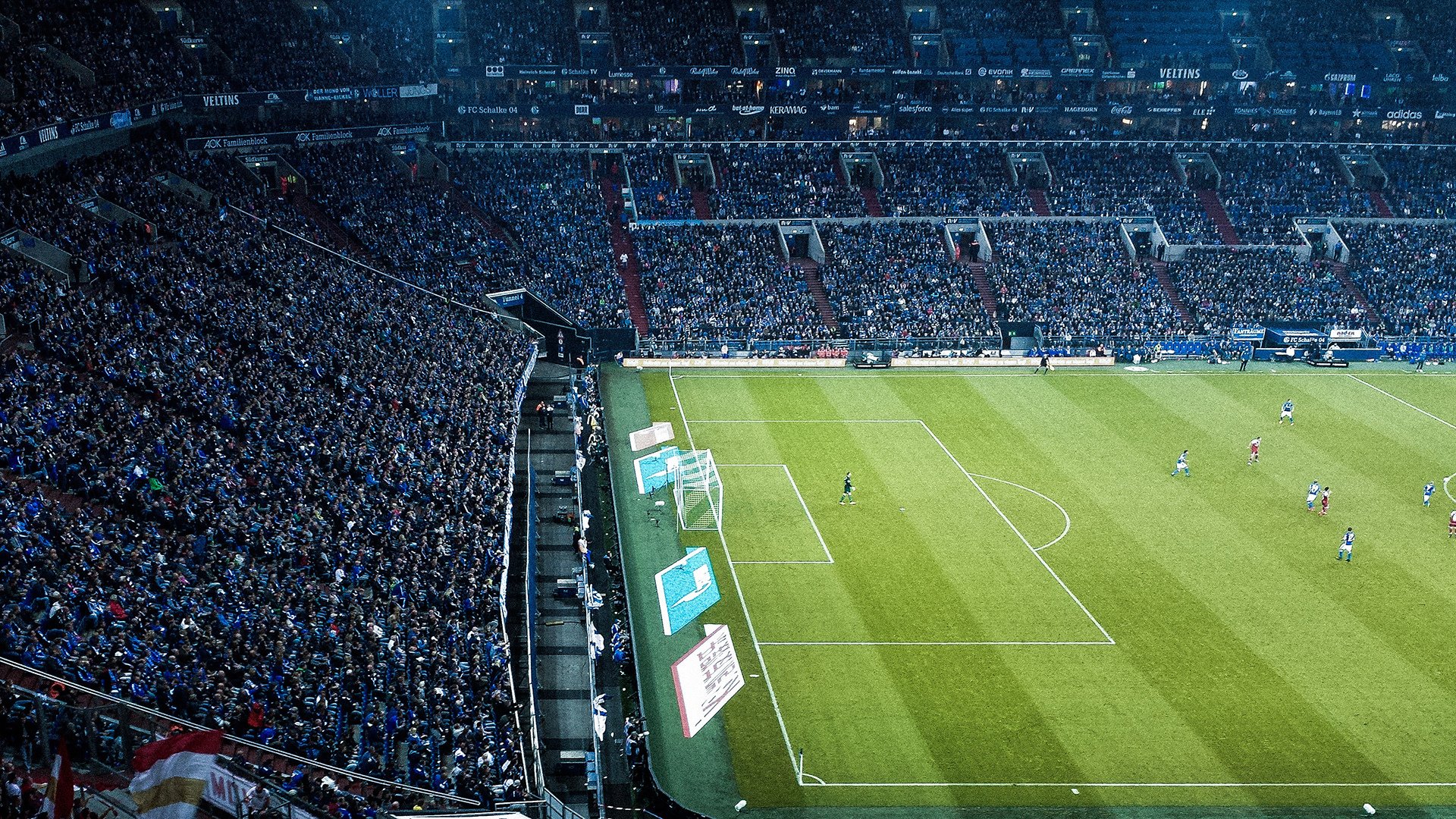 企事业单位登高节 一起登楼为公益项目筹款